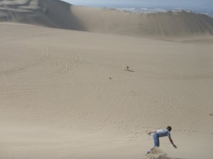 207904_1003539322526_4172_n